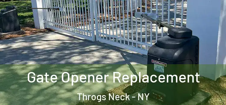  Gate Opener Replacement Throgs Neck - NY
