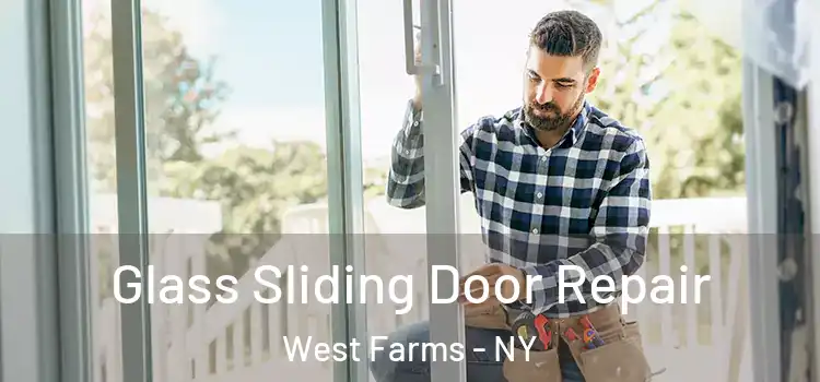 Glass Sliding Door Repair West Farms - NY