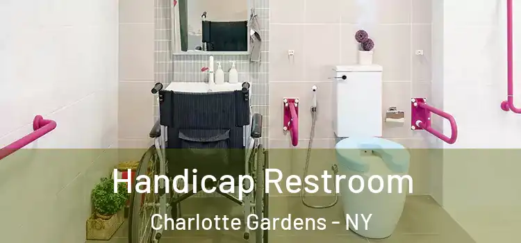 Handicap Restroom Charlotte Gardens - NY