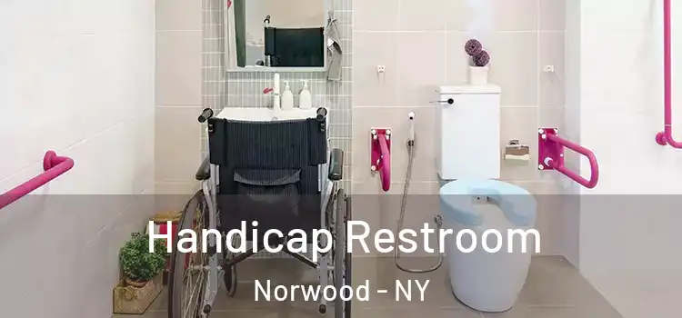 Handicap Restroom Norwood - NY