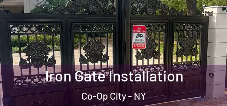 Iron Gate Installation Co-Op City - NY