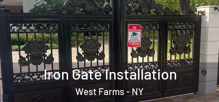  Iron Gate Installation West Farms - NY