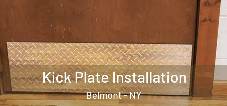  Kick Plate Installation Belmont - NY