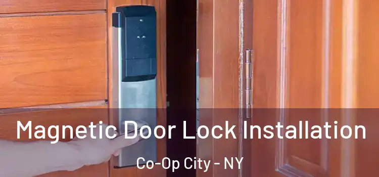  Magnetic Door Lock Installation Co-Op City - NY