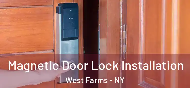  Magnetic Door Lock Installation West Farms - NY