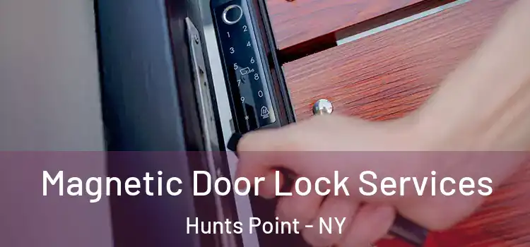 Magnetic Door Lock Services Hunts Point - NY