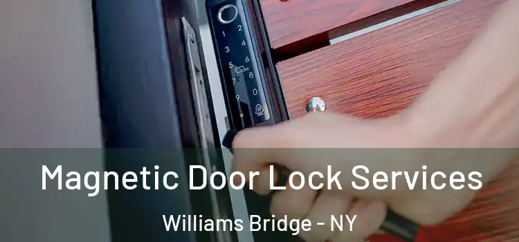 Magnetic Door Lock Services Williams Bridge - NY