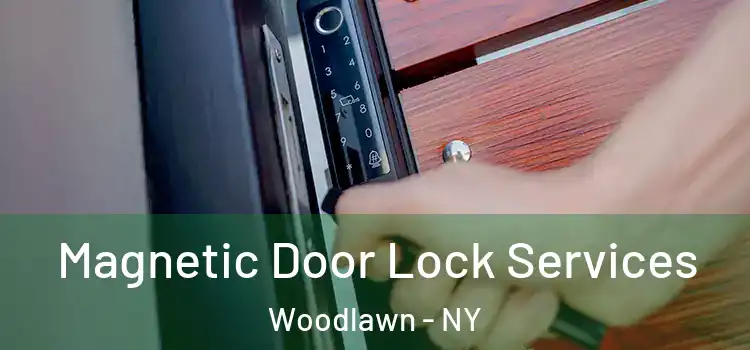 Magnetic Door Lock Services Woodlawn - NY