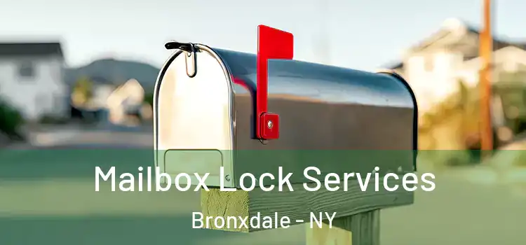  Mailbox Lock Services Bronxdale - NY