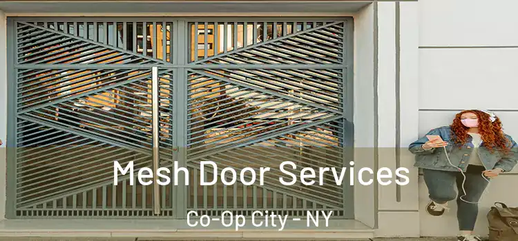 Mesh Door Services Co-Op City - NY