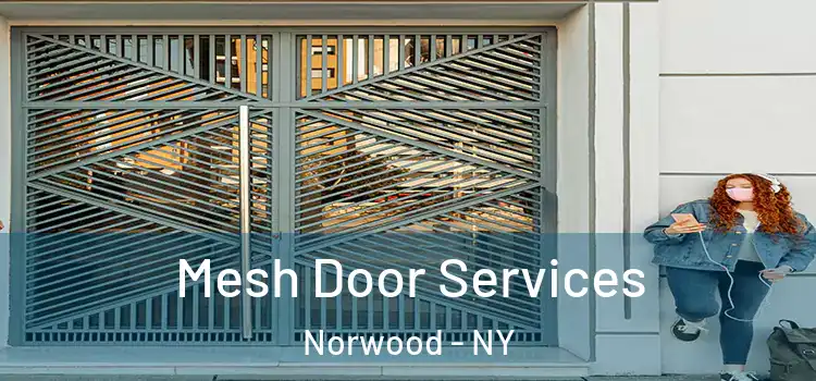 Mesh Door Services Norwood - NY