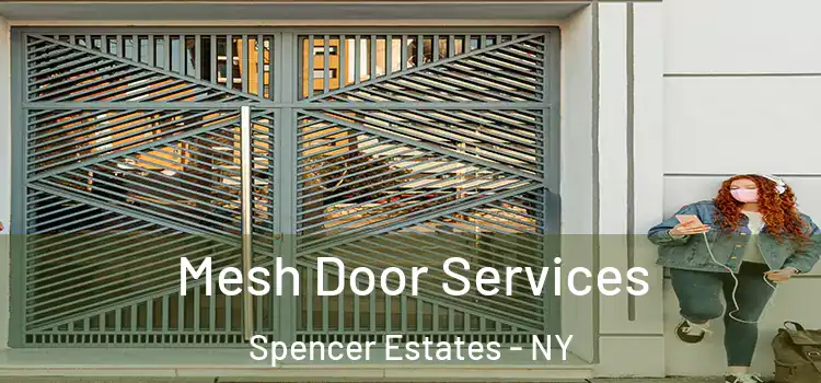 Mesh Door Services Spencer Estates - NY