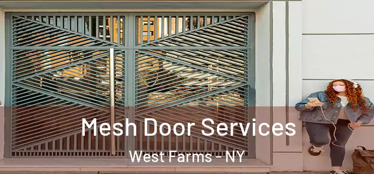  Mesh Door Services West Farms - NY