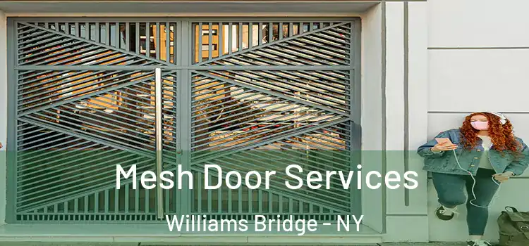  Mesh Door Services Williams Bridge - NY