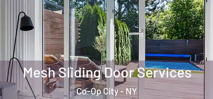  Mesh Sliding Door Services Co-Op City - NY
