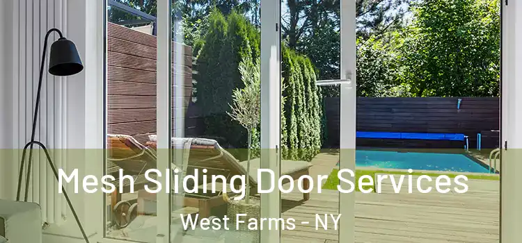 Mesh Sliding Door Services West Farms - NY