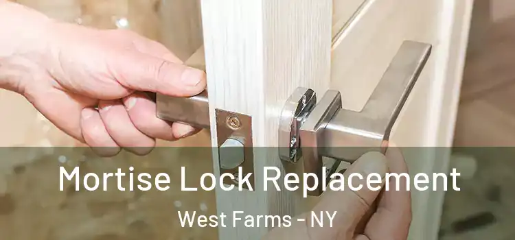 Mortise Lock Replacement West Farms - NY