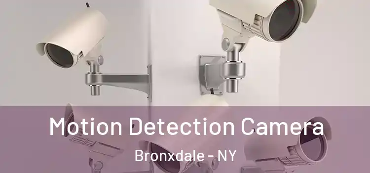  Motion Detection Camera Bronxdale - NY
