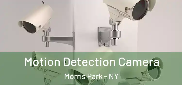  Motion Detection Camera Morris Park - NY