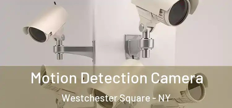  Motion Detection Camera Westchester Square - NY