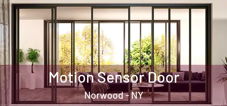 Motion Sensor Door Norwood - NY