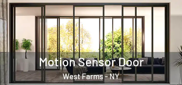 Motion Sensor Door West Farms - NY