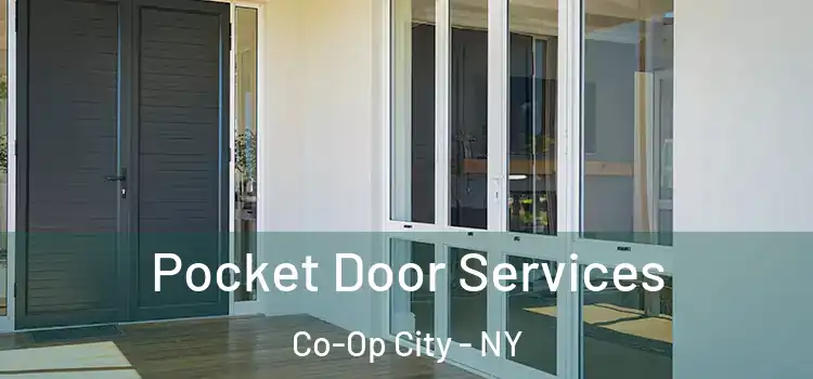 Pocket Door Services Co-Op City - NY