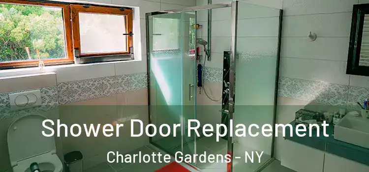 Shower Door Replacement Charlotte Gardens - NY