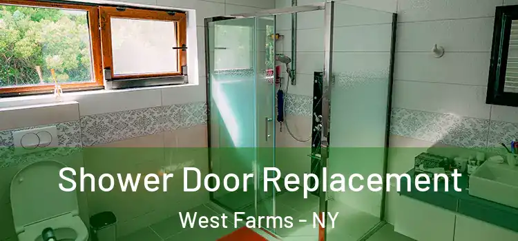 Shower Door Replacement West Farms - NY