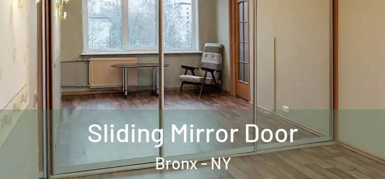  Sliding Mirror Door Bronx - NY