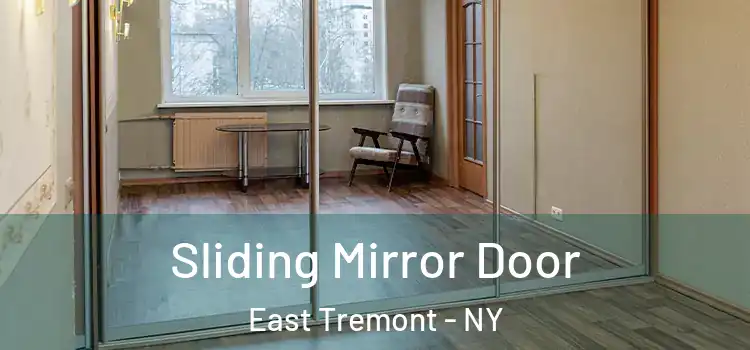  Sliding Mirror Door East Tremont - NY