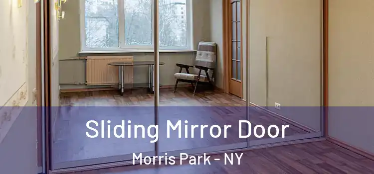  Sliding Mirror Door Morris Park - NY