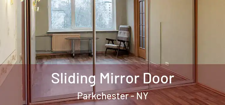  Sliding Mirror Door Parkchester - NY