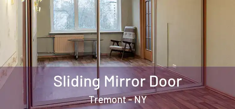  Sliding Mirror Door Tremont - NY