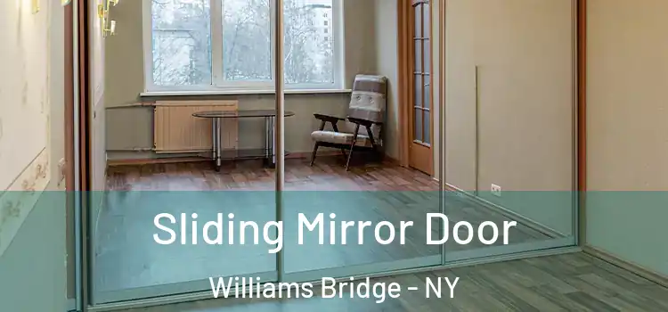  Sliding Mirror Door Williams Bridge - NY