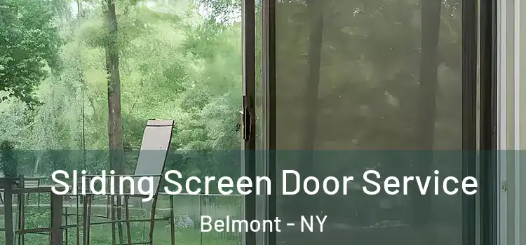  Sliding Screen Door Service Belmont - NY