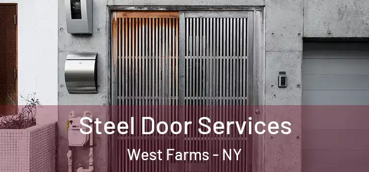 Steel Door Services West Farms - NY