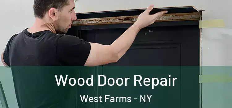 Wood Door Repair West Farms - NY